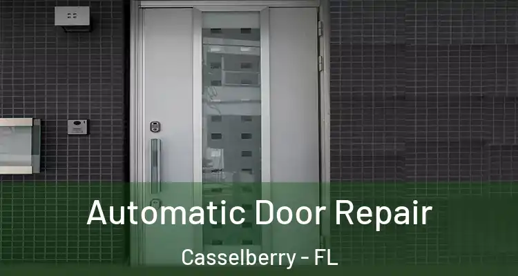 Automatic Door Repair Casselberry - FL