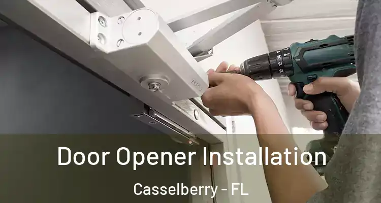 Door Opener Installation Casselberry - FL