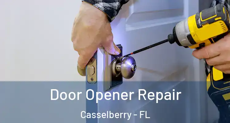 Door Opener Repair Casselberry - FL