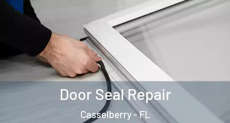 Door Seal Repair Casselberry - FL