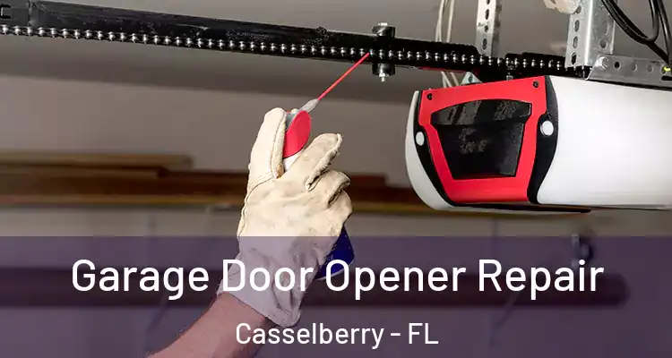 Garage Door Opener Repair Casselberry - FL