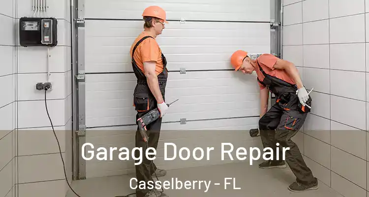 Garage Door Repair Casselberry - FL