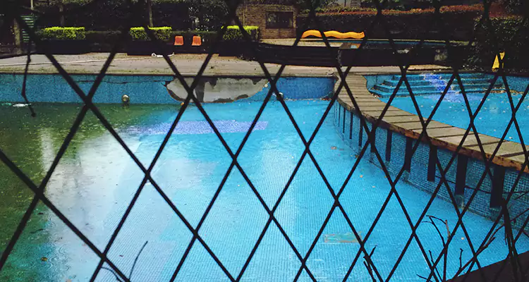 Lanai Screen Repair in Casselberry, FL