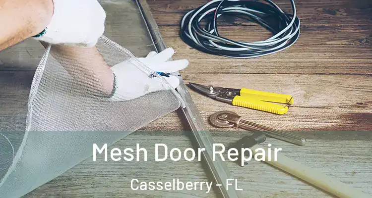 Mesh Door Repair Casselberry - FL