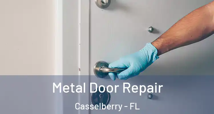 Metal Door Repair Casselberry - FL