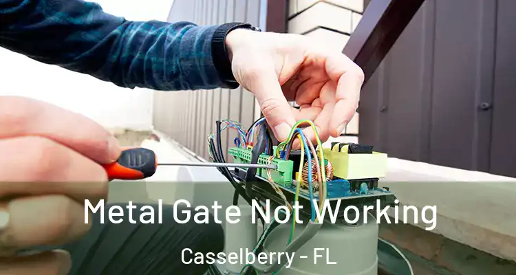 Metal Gate Not Working Casselberry - FL