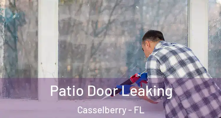 Patio Door Leaking Casselberry - FL