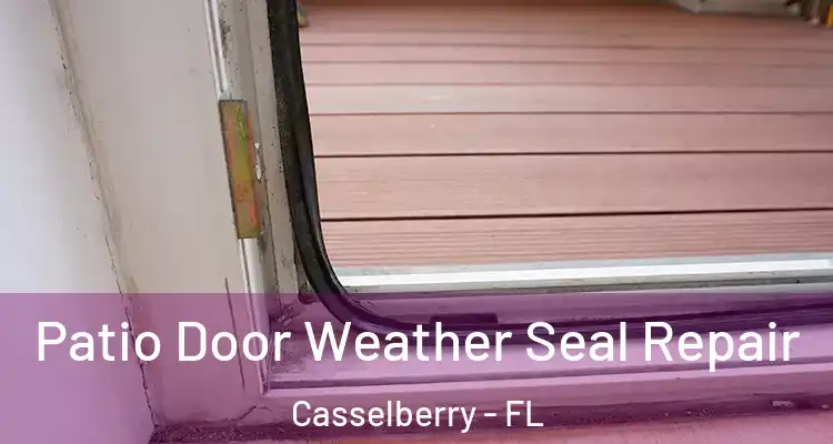 Patio Door Weather Seal Repair Casselberry - FL