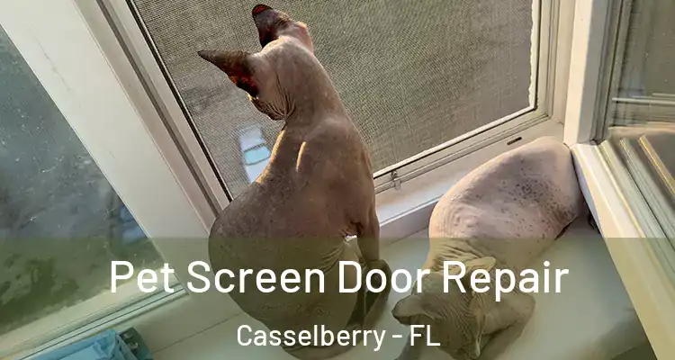 Pet Screen Door Repair Casselberry - FL