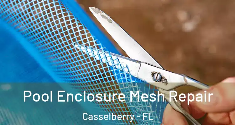 Pool Enclosure Mesh Repair Casselberry - FL