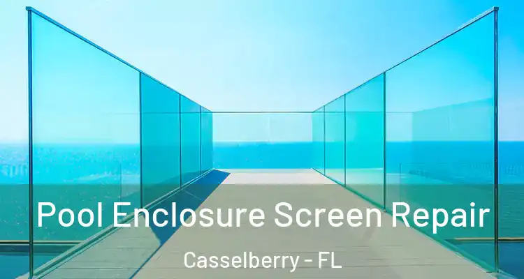 Pool Enclosure Screen Repair Casselberry - FL