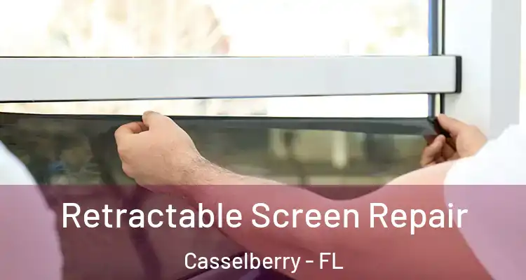 Retractable Screen Repair Casselberry - FL