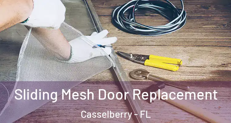 Sliding Mesh Door Replacement Casselberry - FL