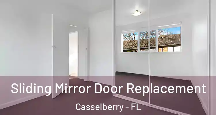 Sliding Mirror Door Replacement Casselberry - FL