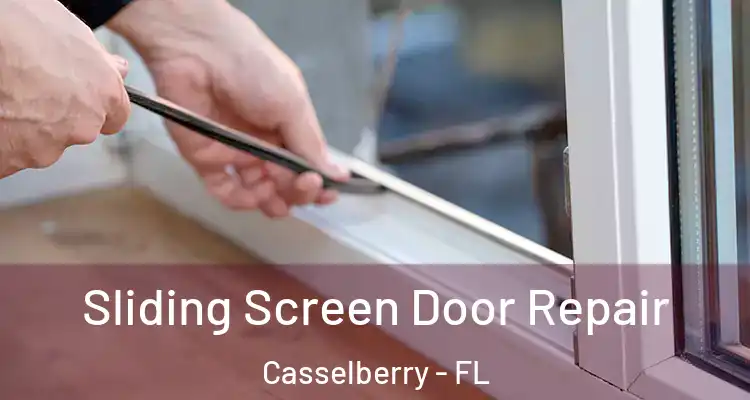 Sliding Screen Door Repair Casselberry - FL
