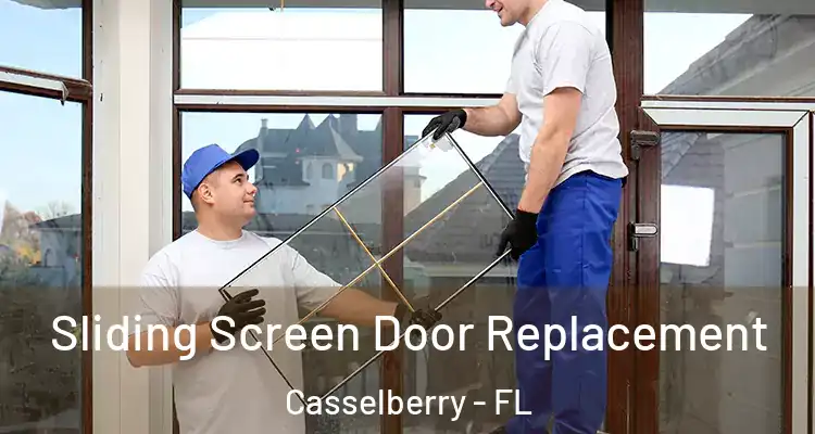 Sliding Screen Door Replacement Casselberry - FL